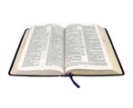 Bible Paper